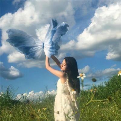 向日葵：宫崎传奇
